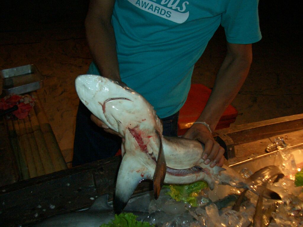 Click to See Next Image